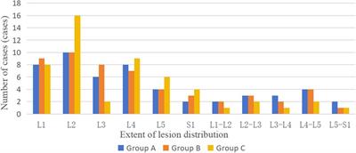 Selection of treatment strategies for lumbar Brucella spondylitis: a retrospective clinical study